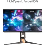 Asus ROG Swift PG259QNR Gaming Monitor